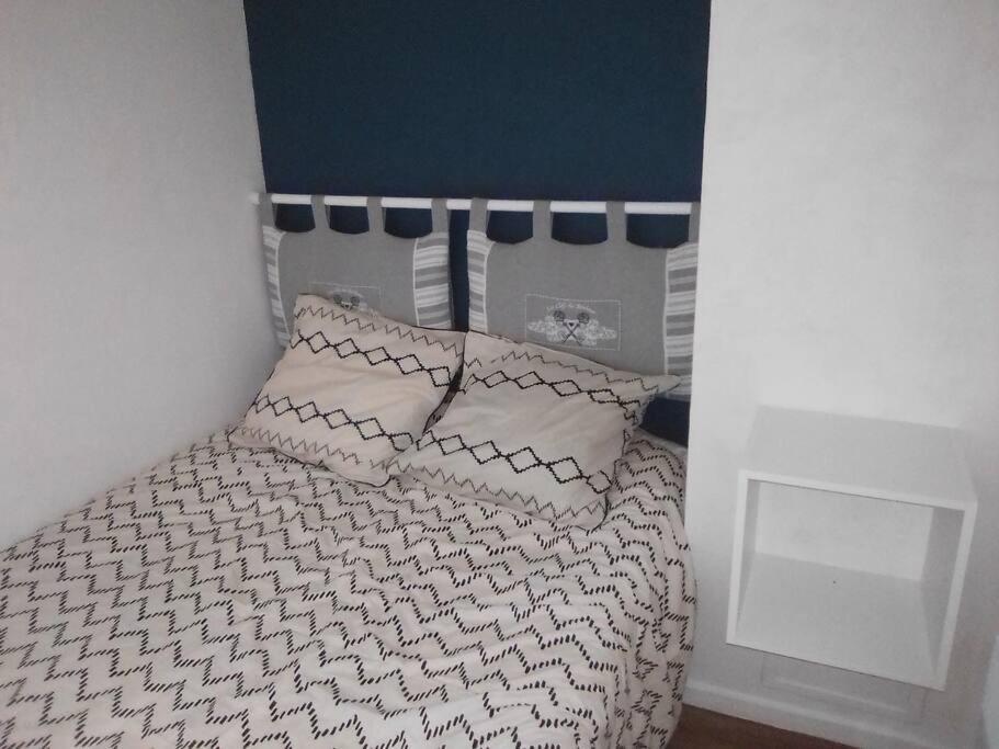 Appartement Pieds Des Pistes Au Pla D'Adet A Saint Lary Soulan Exteriör bild